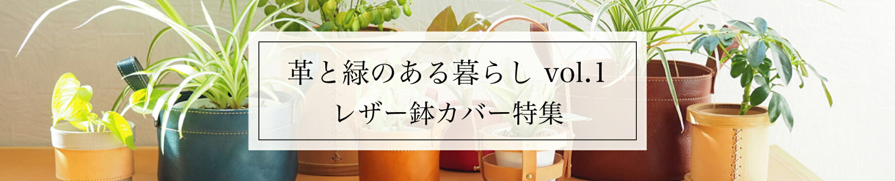 革と緑のある暮らしvol.1　レザー鉢カバー特集