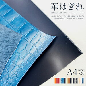 v͂ i v n U[Ntg  z  v  {v lߍ Zbg