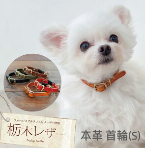 Ȗ؃U[ {v  (S)  Ck L lR  v U[  ˂ ANZT[ ybg v[g G v`Mtg  킢 IWi { Mtg j 蕨 GCWO 