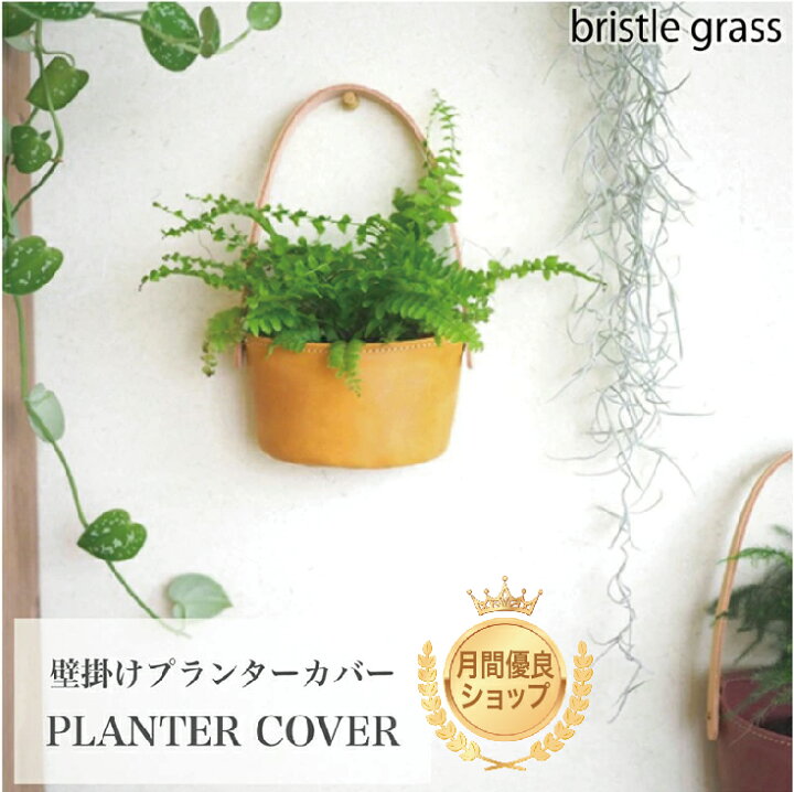 楽天市場】レザー 鉢カバー 壁掛け 2号 ハンギング ヌメ革 観葉植物 花 