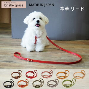 [h {v U Ȗ؃U[ XgU[ k Y ^b`  I[_[ dog  Ck  cat L lR ˂  n[lX Xgbv v U[ ANZT[ ybg v[g