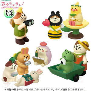 fR(DECOLE)@concombre RRu t10_Zbgyt RRK[fւ悤z