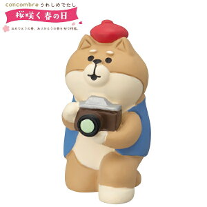 fR(DECOLE)@concombre RRu ŃJ}񂱁yꂵ߂ł炭t̓zy2023NԌziz֑Sꗥ510~/[213~j