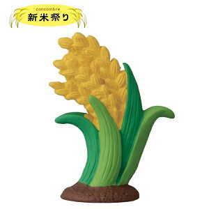 fR(DECOLE)@concombre RRu yVčՂziz֑Sꗥ510~/[213~jCeA fR RRu   tBMA }XRbg