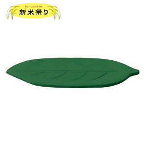 fR(DECOLE)@concombre RRu ؂̗tMyVčՂziz֑Sꗥ510~/[213~jCeA fR RRu   tBMA }XRbg