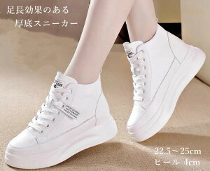 Xj[J[ LoX C r {v fB[XV[Y V[Y  vbgtH[V[Y Xj[J[ Cq[4cm nCq[ r LpXV[Y ₷ V