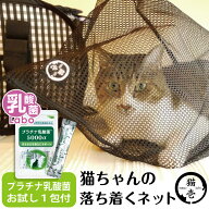 猫 ねこ 猫壱 防災 ネット 袋 保護 病院 爪切り 災害 乳酸菌 サプリ プラチナ乳酸菌 腸活 免疫調整 健康…