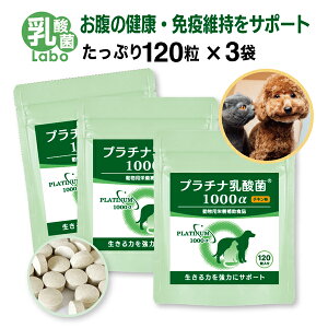  L _ Tv pTvg  ^ubg  ybgTv im^_ Y _ۃ{ ̌N Ɖu   ь Y AM[t[ v`