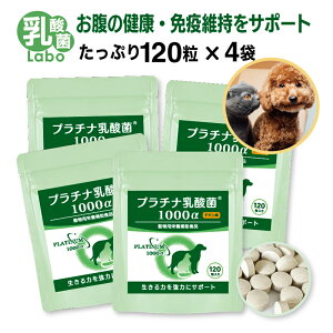  L _ Tv pTvg  ^ubg  ybgTv im^_ Y _ۃ{ ̌N Ɖu   ь Y AM[t[ v`