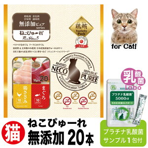 L Y  ˂҂[ yy J _ Tv v`i_ Zk_ im^_ Y _ۃ{ ̌N Ɖu    ь A