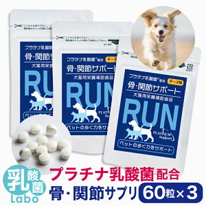  ֐ Tv Tvg    G R[QܗL~l ORT~ v`i_ Zk_ im^_ Y o  畆  Ɖu   60×3