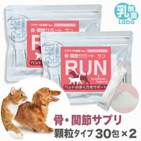 猫 犬 ペット 関節 サプリ サプリメント RUN ラン 骨 腰 ひざ グルコサミン コンドロイチン ビタミンD3 散歩 階段プラチナ乳酸菌 濃縮乳酸菌 ナノ型乳酸菌 国産 口腔 炎症 皮膚 被毛 免疫 腸活 サポート 送料無料 30包(顆粒)×2