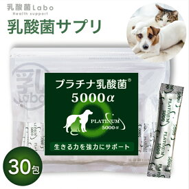 乳酸菌 サプリ 猫 犬 ペット サプリメント 粉 パウダー 顆粒 送料無料 プラチナ乳酸菌 濃縮乳酸菌 ナノ型乳酸菌 国産 乳酸菌ラボ お腹の健康 免疫調整 口内環境 整腸 腸活 皮毛向上 無添加 アレルギーフリー 30包入×1