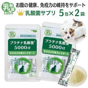 L  ybg _ Tv pTvg  pE_[   Zk_ im^_ Y _ۃ{ ̌N Ɖu    ь Y AM[