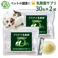 乳酸菌 サプリ 猫 犬 ペット サプリメント 粉 パウダー 顆粒 送料無料 プラチナ乳酸菌 濃縮乳酸菌 ナノ型…