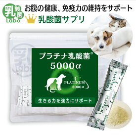 乳酸菌 サプリ 猫 犬 ペット 動物用サプリメント 粉 パウダー 顆粒 送料無料 濃縮乳酸菌 ナノ型乳酸菌 国産 乳酸菌ラボ お腹の健康 免疫調整 口内環境 整腸 腸活 皮毛向上 無添加 アレルギーフリー プラチナ乳酸菌5000α 30包入×1