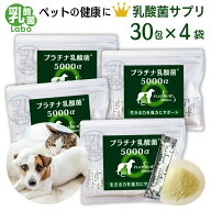 乳酸菌 サプリ 猫 犬 ペット 動物用サプリメント 粉 パウダー 顆粒 送料無料 濃縮乳酸菌 ナノ型乳酸菌 国…