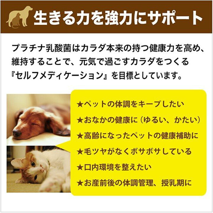 楽天市場】乳酸菌 サプリ ペット 犬 猫 プラチナ乳酸菌5000α 初回限定 お試し2個まで(2個ご購入で送料無料) : 乳酸菌ラボ 楽天市場】乳酸菌 サプリ ペット 犬 猫 プラチナ乳酸菌5000α 初回限定 お試し2個まで(2個ご購入で送料無料) : 乳酸菌ラボ
