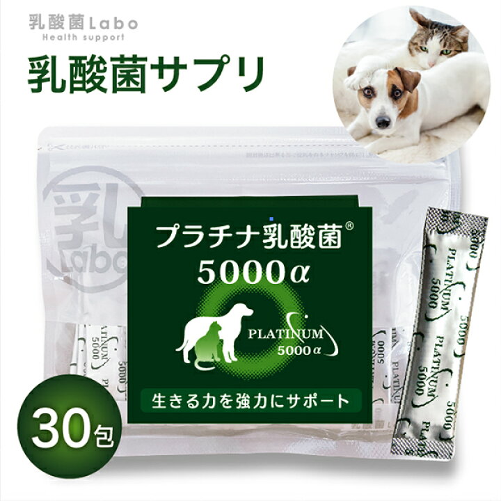 楽天市場 乳酸菌 ペット サプリ プラチナ乳酸菌5000a 30包入 犬乳酸菌 猫乳酸菌 うさぎ乳酸菌 サプリ サプリメント 便秘 乳酸菌ラボ