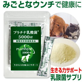 楽天市場 犬 の 便秘 薬の通販
