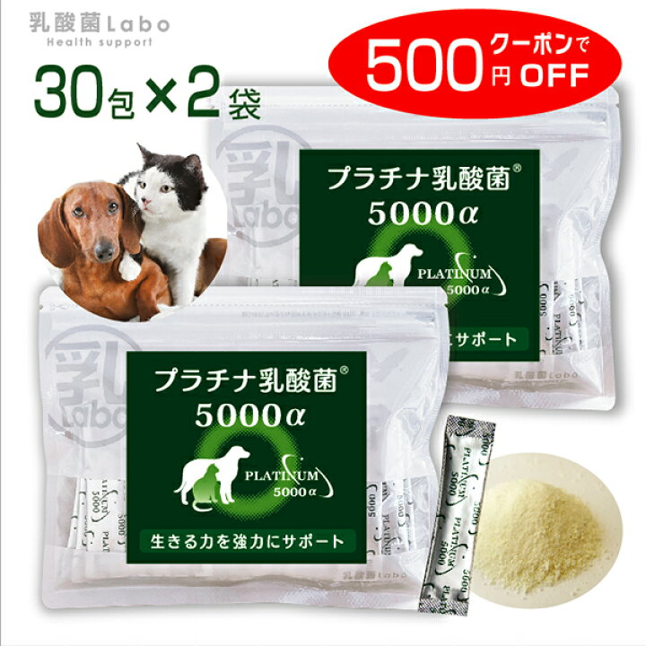 楽天市場 犬 猫 乳酸菌サプリ お得用 プラチナ乳酸菌5000a 顆粒タイプ１袋スティック30包入 4 国産 猫用 便秘 整腸 サプリメント 猫用腸内環境サプリ 犬用腸内環境サプリ 乳酸菌ラボ
