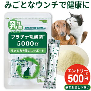 Gg[300~OFF  _ L _ Tv ybg Tvg    v`i_ Zk_ im^_ Y _ۃ{ ̌N Ɖu  