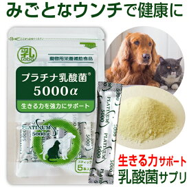 楽天市場 犬用 腸内環境 サプリメントの通販 楽天市場 犬用 腸内環境 サプリメントの通販