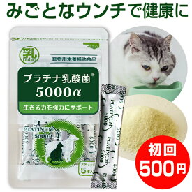 楽天市場 猫 乳酸菌 便秘の通販