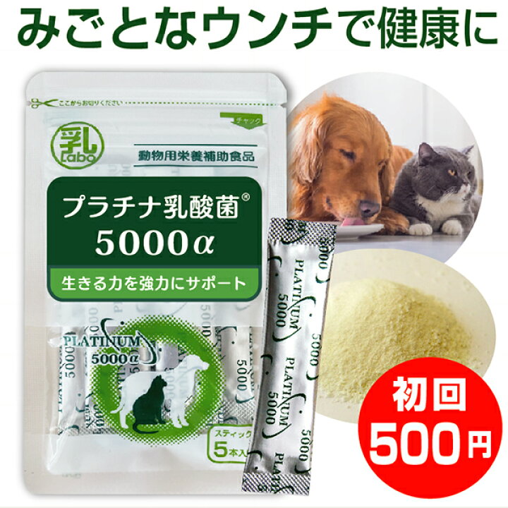 楽天市場 乳酸菌 ペット サプリ 犬 猫用 プラチナ乳酸菌5000a 初回限定 お試し2個まで ２個ご購入で送料無料 犬乳酸菌サプリメント 乳酸菌 ラボ
