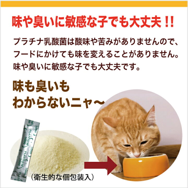 楽天市場 乳酸菌 サプリ ペット 犬 猫 餌 プラチナ乳酸菌5000a 初回限定 お試し2個まで ２個ご購入で送料無料 乳酸菌ラボ