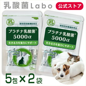 ペットサプリ 犬 猫 プラチナ乳酸菌 5000α (5包入2個セット)おなかの健康 免疫調整 乳酸菌 口内環境 乳酸菌サプリ