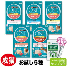ピュリナワン 猫 免疫ケア ペースト パウチ お試し 健康免疫サポート キャット 乳酸菌 サプリ おやつ プラチナ乳酸菌 口内環境 腸活 免疫調整 皮毛向上 送料無料