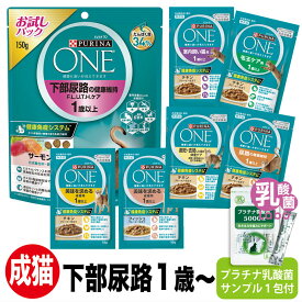 ピュリナワン 猫 お試しセット 下部尿路の健康維持 PURINA ONE キャット 乳酸菌 サプリ おやつ ウエット パウチ プラチナ乳酸菌 腸活 免疫調整 健康サポート送料無料 口内環境 腸活 免疫調整 皮毛向上 キャットフード お試し