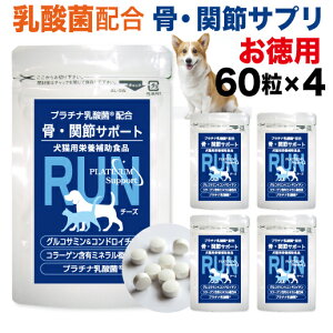 犬用健康管理用品 ビタミンdの人気商品 通販 価格比較 価格 Com 犬用健康管理用品 ビタミンdの人気商品 通販 価格比較 価格 Com