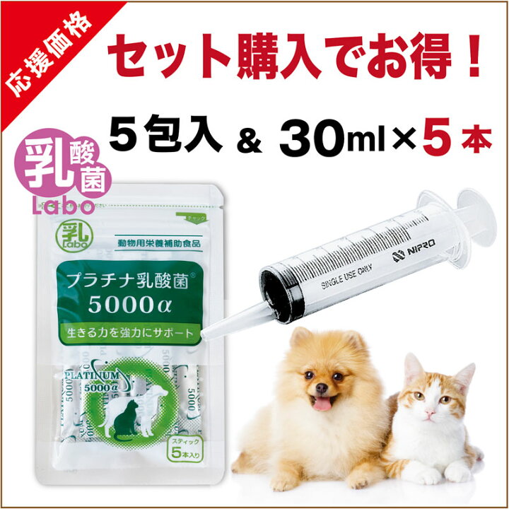 楽天市場】シリンジ ペット用 30ml × 5本 犬 猫 高齢 老犬 老猫 介護 