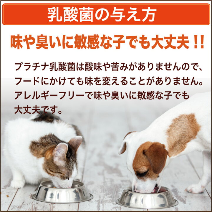 楽天市場】シリンジ ペット用 30ml × 5本 犬 猫 高齢 老犬 老猫 介護 