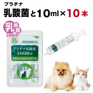 VW ybgp 10ml ×10{ v`i_ 5 Zbg   L  V VL  X|Cg  a  H jȂ  ˊ  ^ Ɖu 