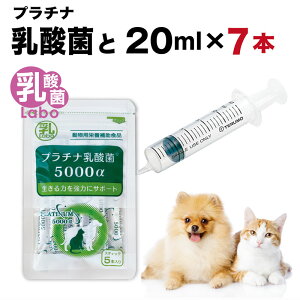  L VW  V VL   X|Cg  a ybg  H jȂ  ˊ  ^ v`i_ Ɖu  e20ml×7{  v`i_