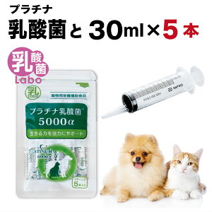  L VW  V VL   X|Cg  a ybg  H jȂ  ˊ  ^ v`i_ Ɖu  e30ml×5{  v`i_