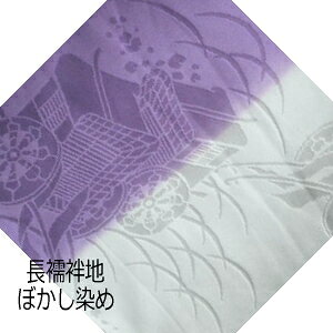 y󂠂ziVNj{ dq@ 򂵌䏊Ԗl͂yߝ򂵂ŐFLz[1TCYz36cm×10cm][̒͂][ǂ5ȏwŒǐՉ