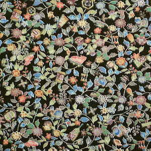 iVNj{ FnɑԂƕ󕿐sɐ^䔽͂[1TCYz36cm×10cm][̒͂][ǂ5ȏwŒǐՉ\[֑]