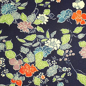 iVNj{ÑkɍFnɉԕs䔽͂[1TCYz36cm×10cm][̒͂][ǂ5ȏwŒǐՉ\[֑]