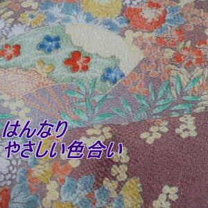 iVNj{Skɓn򂵐ƉԐs䔽͂[1TCYz34cm×10cm][̒͂][ǂ5ȏwŒǐՉ\[֑]