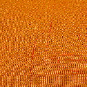 iVNj{n IWFDۍ׎D蔖ђn͂[1TCYz30cm×10cm][̒͂][ǂ5ȏwŒǐՉ\[֑]