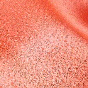 iVNj{n FDljqdqV͂[IWnF][̌m[}Ȓn][1TCYz36cm×10cm][̒͂][ǂ5ȏwŒ