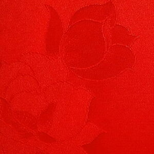 iVNj{n ԐFKNӏV͂yǎ_炩nz[1TCYz35cm×10cm][̒͂][ǂ5ȏwŒǐՉ\[֑]