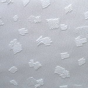 iVNj{n FӏkɎᕿjqdqV͂(Tenn) [1TCYz36cm×10cm][̒͂][ǂ5ȏwŒǐՉ\[֑]