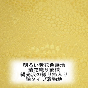  邢ԐFeԖljqۏkɒ͂[EGFEDߗL][1TCYz36cm×10cm][̒͂][ǂ5ȏwŒǐՉ\[֑]