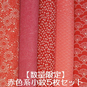 y[ցzyʌzyiz(VN100%)@ԐFn̏5Zbgi(1TCY 20cm×17cm5g)