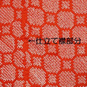 iVNj{ ԐFɎi莭̎q䔽͂(IWnԒndq)[1TCYz34cm×10cm][̒͂][ǂ5ȏwŒǐՉ\[֑]